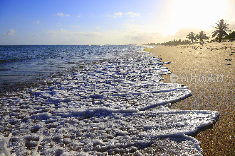 热带天堂:田园般的Praia do Forte海滩日落，巴伊亚，巴西